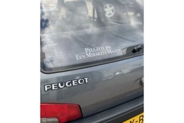 256945986.jpg